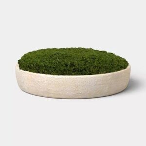 THRESHOLD NWT faux moss in ceramic bowl -large -11.5”w